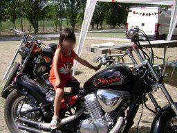 10motoduck12