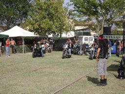 10motoduck14