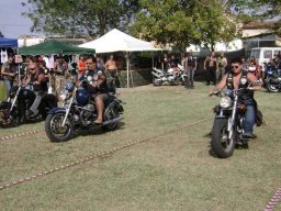 10motoduck16