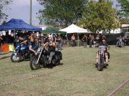 10motoduck18