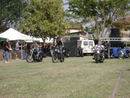 10motoduck19
