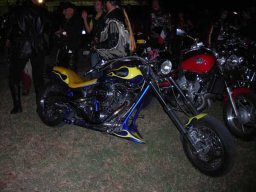 11motoduck19