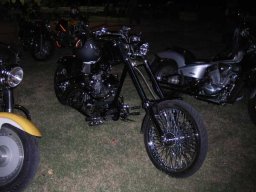 11motoduck20