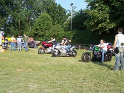 torino9